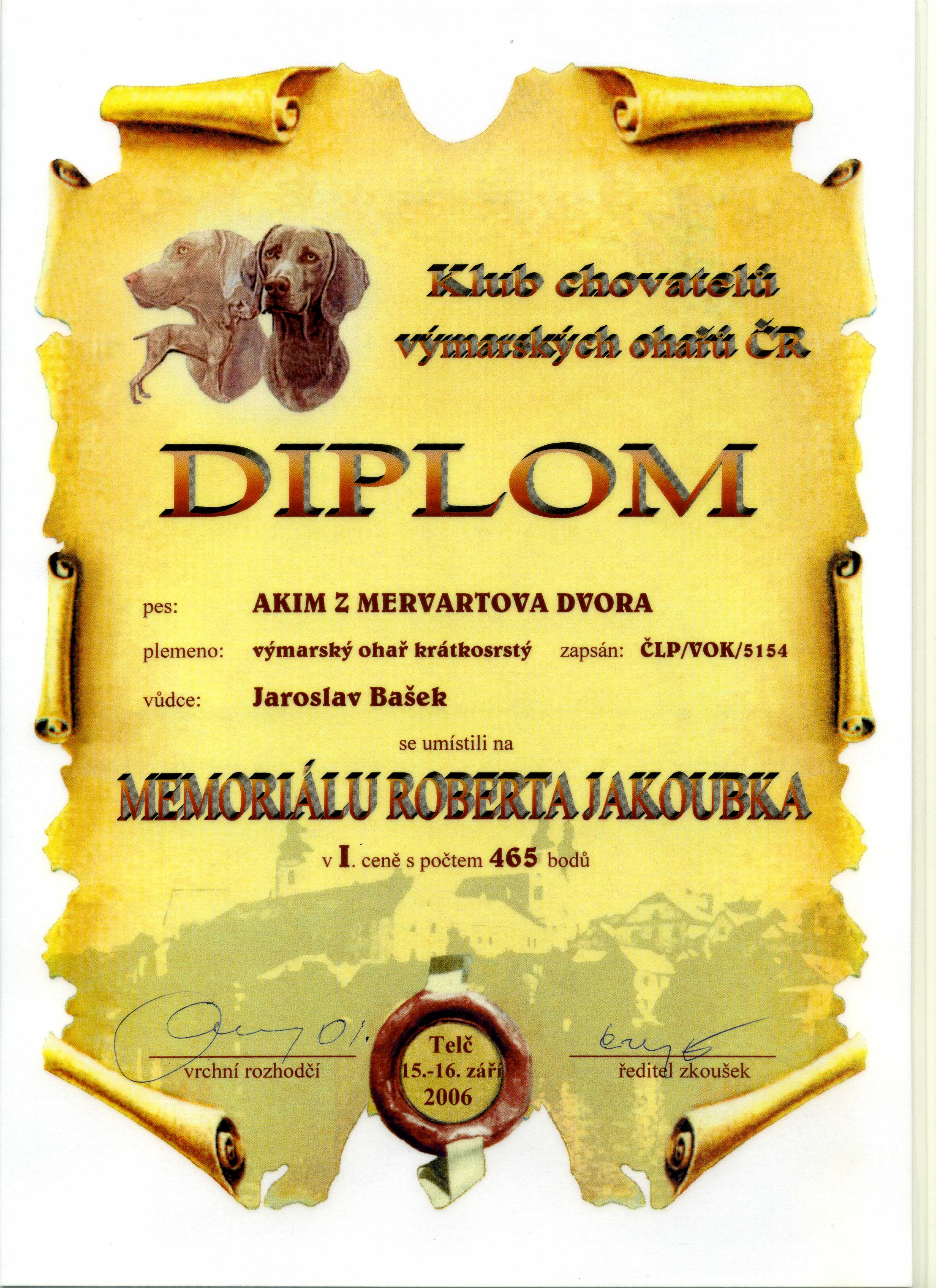 Diplom VZ_002.jpg